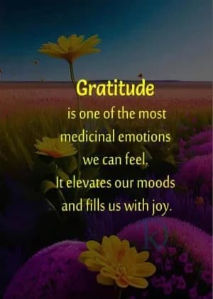 Gratitude is one of the most medicinal emotions we can feel. It elevates our moods and fills us with joy.