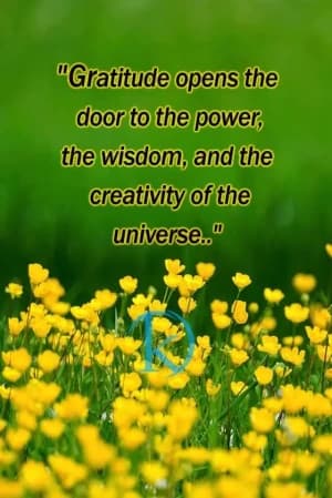 Gratitude opens the door to the power, the wisdom, and the creativity of the universe.