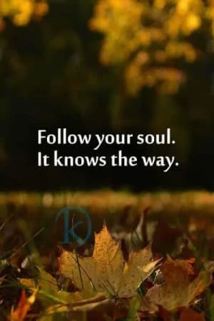 Follow your soul. It knows the way.