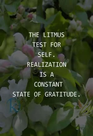 The Litmus Test for Self-Realization is a Constant State of Gratitude.