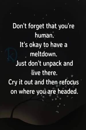 Don't forget that you're human. It's okay to have a meltdown. Just don't unpack and live there. Cry it out and then refocus on where you are headed.