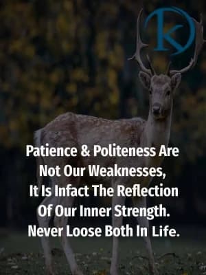 Patience and politeness are not our weaknesses; it is, in fact, the reflection of our inner strength. Never lose both in life.