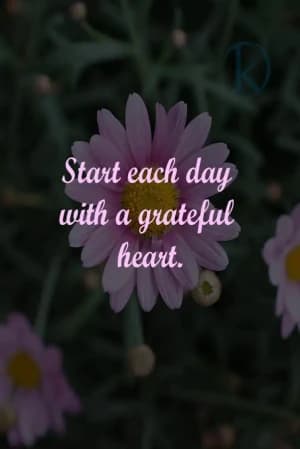 Start each day with a grateful heart.