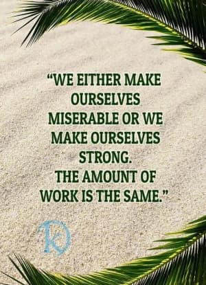 We either make ourselves miserable or we make ourselves strong. The amount of work is the same.