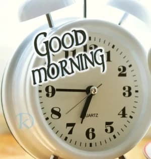 GOOD MORNING