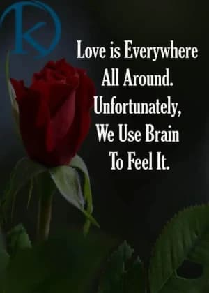 Love is everywhere all around. Unfortunately, we use our brain to feel it.
