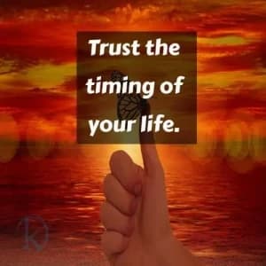 Trust the timing of your life.