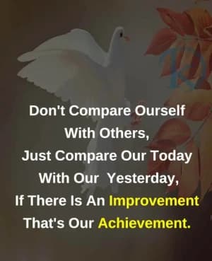 Don't compare ourselves with others, just compare our today with our yesterday, if there is an improvement that's our achievement.