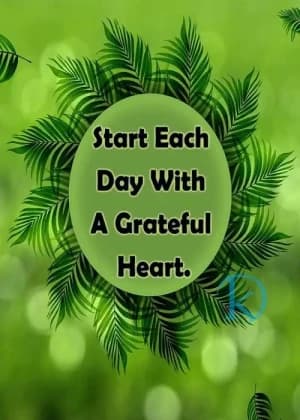 Here's your cleaned and refined quote:

Start each day with a grateful heart.