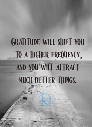 Gratitude will shift you to a higher frequency, and you will attract much better things.