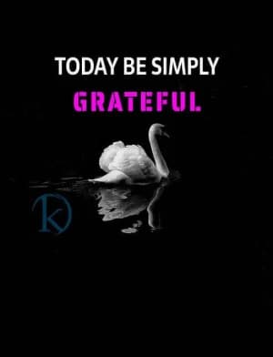 Today, be simply grateful.
