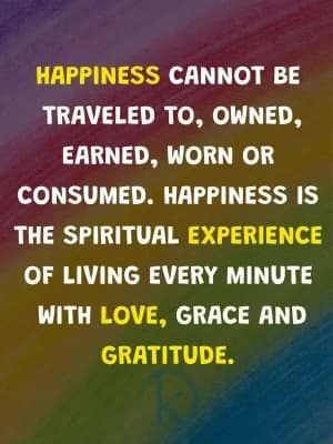 Happiness cannot be traveled to, owned, earned, worn, or consumed. Happiness is the spiritual experience of living every minute with love, grace, and gratitude.