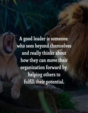 A good leader is someone who sees beyond themselves and really thinks about how they can move their organization forward by helping others to fulfill their potential.