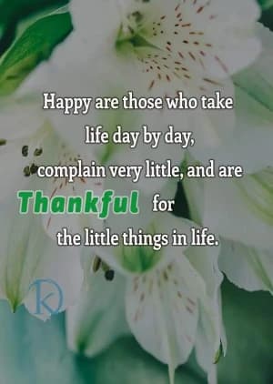 Happy are those who take life day by day, complain very little, and are thankful for the little things in life.