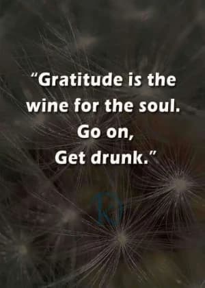 Gratitude is the wine for the soul. Go on, get drunk.