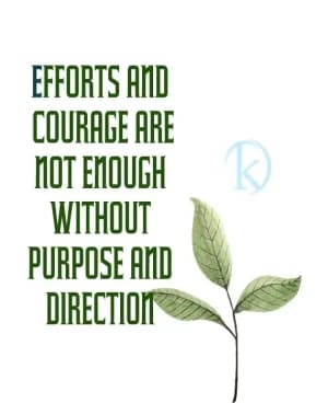 EFFORTS AND COURAGE ARE NOT ENOUGH WITHOUT PURPOSE AND DIRECTION