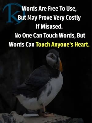 Words are free to use, but may prove very costly if misused. No one can touch words, but words can touch anyone's heart.
