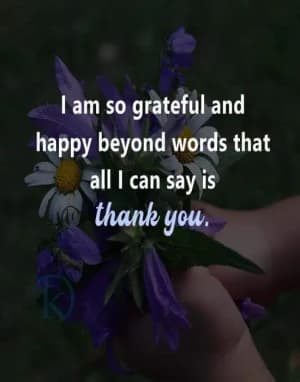 I am so grateful and happy beyond words that all I can say is thank you.