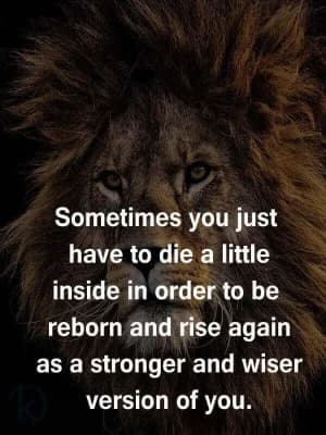 Sometimes you just have to die a little inside to be reborn and rise again as a stronger and wiser version of you.