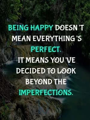 Being happy doesn't mean everything's perfect. It means you've decided to look beyond the imperfections.