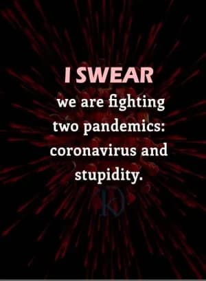 I SWEAR we are fighting two pandemics: coronavirus and stupidity.