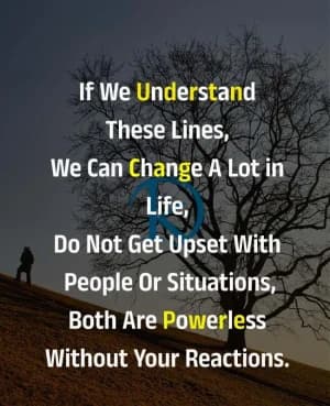 If we understand these lines, we can change a lot in life. Do not get upset with people or situations; both are powerless without your reactions.