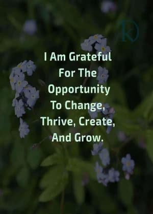 I am grateful for the opportunity to change, thrive, create, and grow.