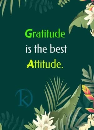 Gratitude is the best attitude.