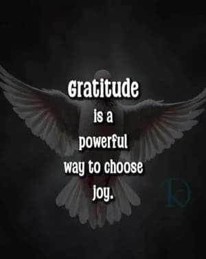 Gratitude is a powerful way to choose joy.