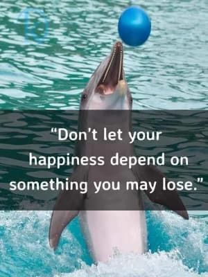 Don't let your happiness depend on something you may lose.