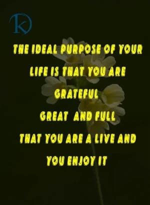 The ideal purpose of your life is that you are grateful, great, and full that you are alive and you enjoy it.