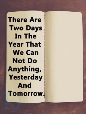There are two days in the year that we can not do anything, yesterday and tomorrow.
