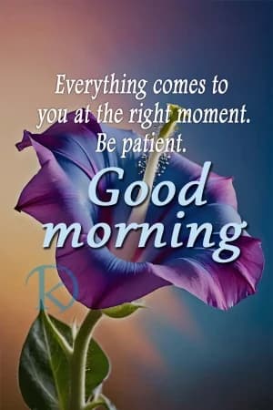 Everything comes to you at the right moment. Be patient. Good morning