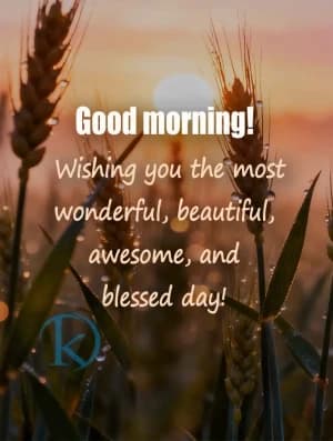 Good morning! Wishing you the most wonderful, beautiful, awesome, and blessed day!
