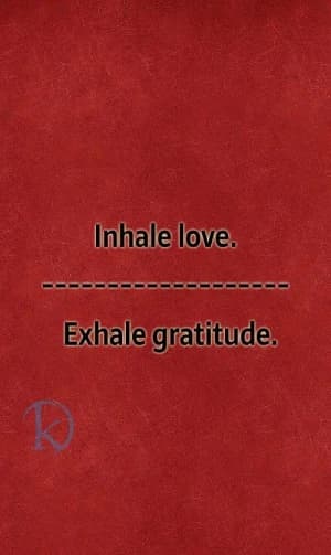 Inhale love. Exhale gratitude.