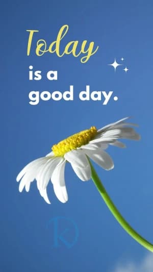 Today is a good day.