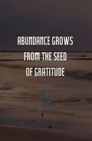 Abundance grows from the seed of gratitude.