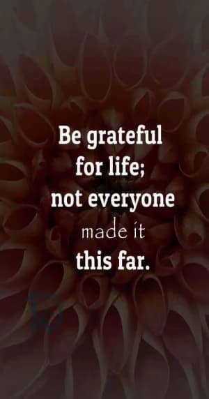 Be grateful for life. Not everyone made it this far.