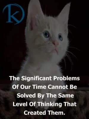 The Significant Problems of our time cannot be solved by the same level of thinking that created them.