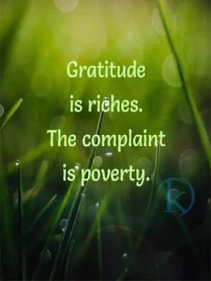 Gratitude is riches. The complaint is poverty.