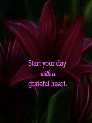 Start your day with a grateful heart.