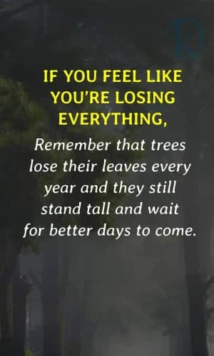 If you feel like you're losing everything, remember that trees lose their leaves every year, and they still stand tall and wait for better days to come.