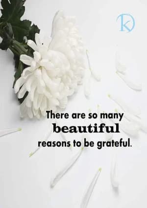 There are so many beautiful reasons to be grateful.