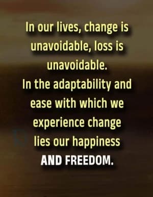 In our lives, change is unavoidable, and loss is unavoidable. In the adaptability and ease with which we experience change lies our happiness and freedom.