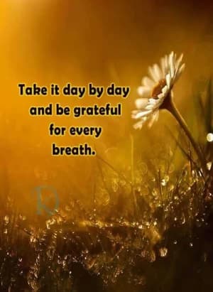 Take it day by day and be grateful for every breath.