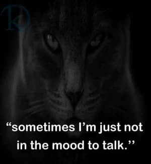 Sometimes I'm just not in the mood to talk.
