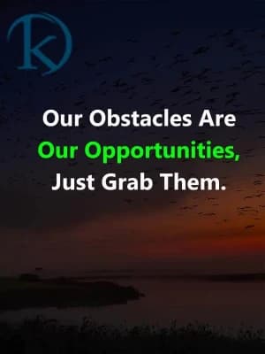Our obstacles are our opportunities. Just grab them.
