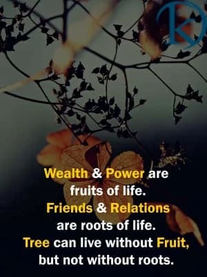 Wealth & Power are fruits of life. Friends & Relations are roots of life. Tree can live without fruit, but not without roots.
