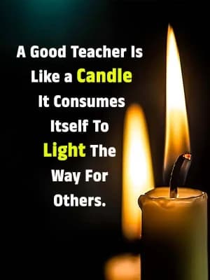 A good teacher is like a candle. It consumes itself to light the way for others.
