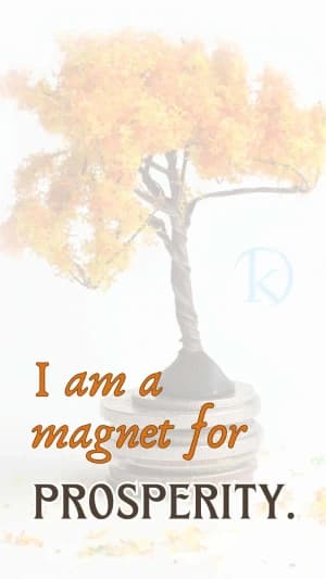 I am a magnet for prosperity.